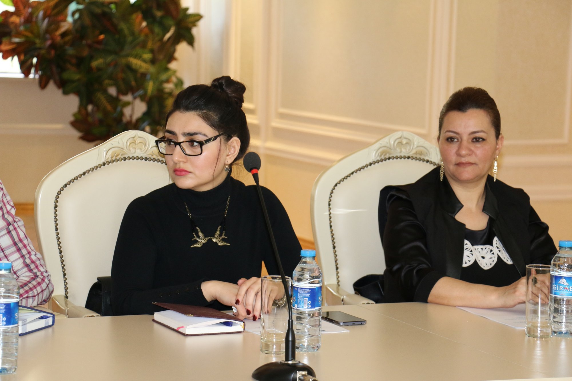 Sahibkarlar Azexport.az-la əməkdaşlığa başlayır