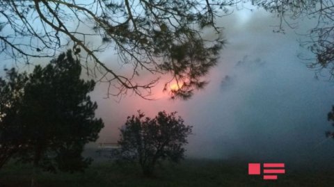 Bakıda güclü yanğın olub – 25 nəfərədək şəxs ölüb