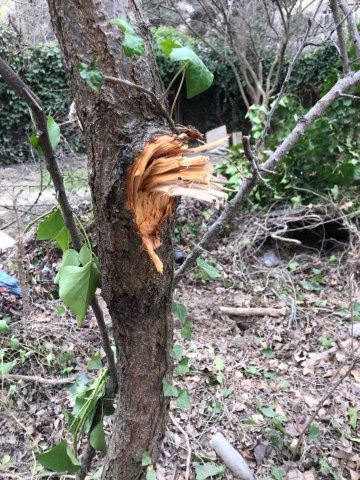 Nazirlik dövlət qurumunu cərimələyib