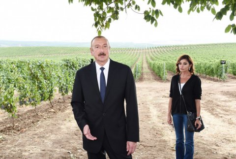 Prezident muzey və yeni yolun açılışını edib