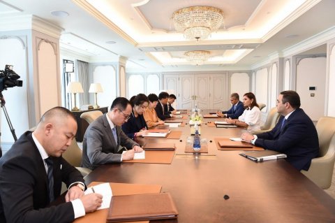 Mehriban Əliyeva nümayəndə heyəti ilə görüşüb