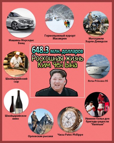 Təyyarələr, spirtli içkilər, saatlar. Şimali Koreyanın lideri bunlara 640 milyon sərf edib