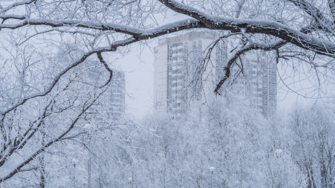 Qar yağdı, 195 min ev işıqsız qaldı Qar yağdı, 195 min ev işıqsız qaldı