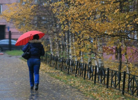Noyabr ayında hava necə olacaq? Noyabr ayında hava necə olacaq?