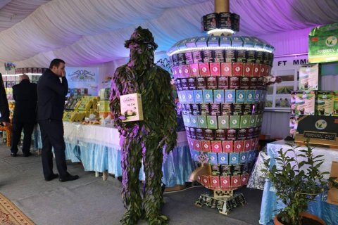 Xan Lənkərana gəlin - “Çay, çəltik , sitrus”  festivalına qonaq olun!