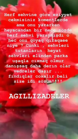 Röya Ayxan qınağa tuş gəlib