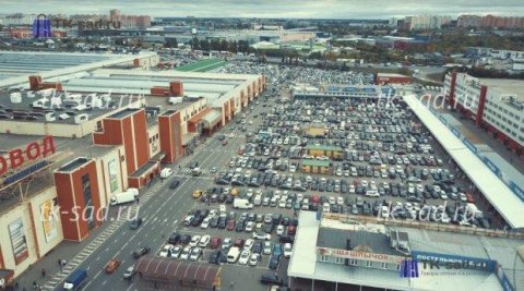 Azərbaycanlı milyarderlərin bazarına hücum edən xüsusi təyinatlılar Qafqaz dağlarına qaçıblar