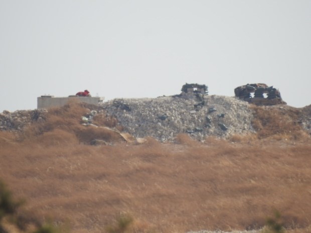 Terrorçular Menbic istiqamətində geri çəkilir