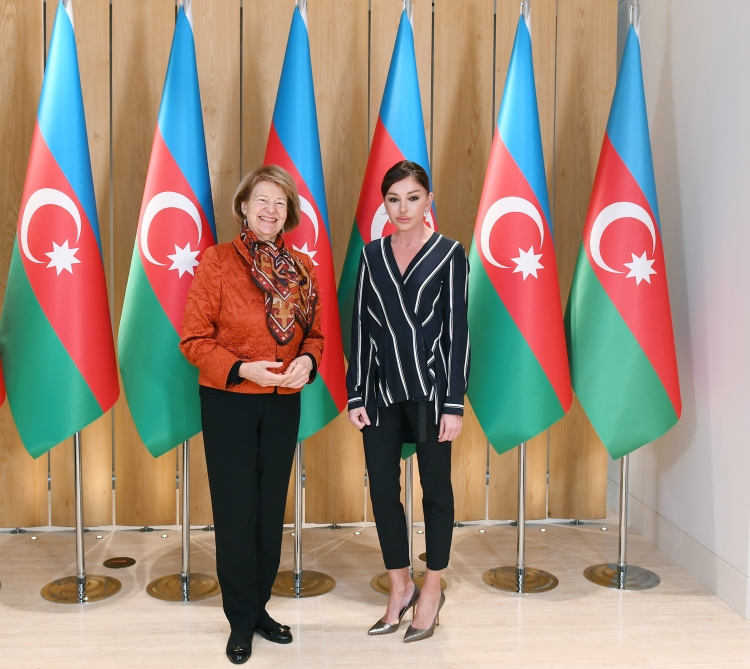 Mehriban Əliyeva Britaniya Baş Nazirinin Azərbaycan üzrə ticarət elçisi ilə görüşdü Mehriban Əliyeva Britaniya Baş Nazirinin Azərbaycan üzrə ticarət elçisi ilə görüşdü