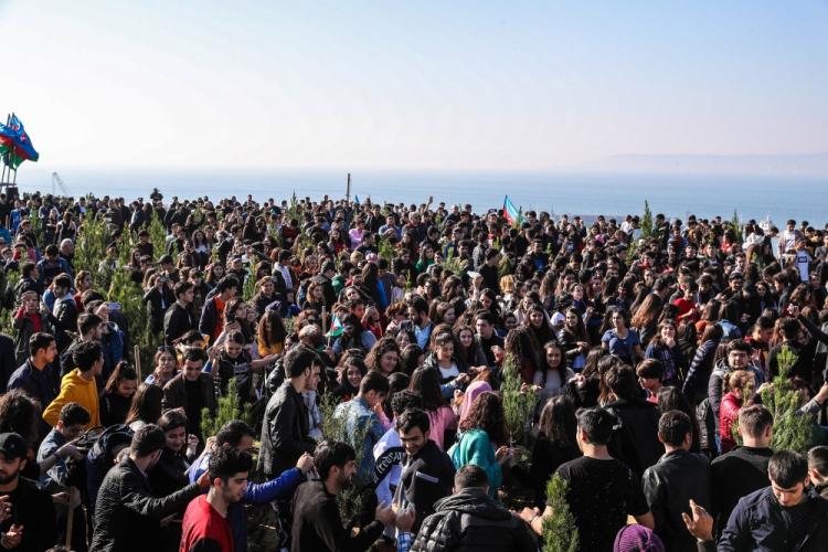 İlham Əliyev və Mehriban Əliyeva ağacəkmə aksiyasında iştirak ediblər