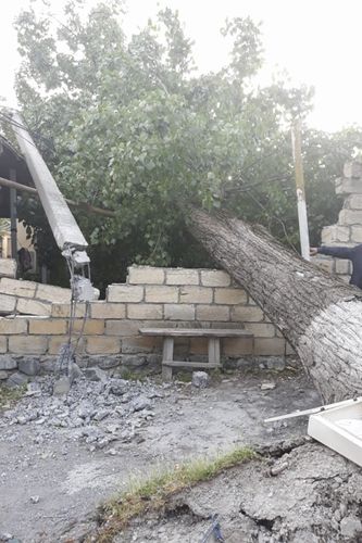 Güclü külək təsərrüfatlara ziyan vurub