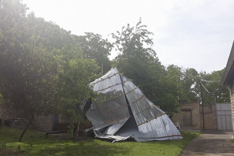 Güclü külək təsərrüfatlara ziyan vurub