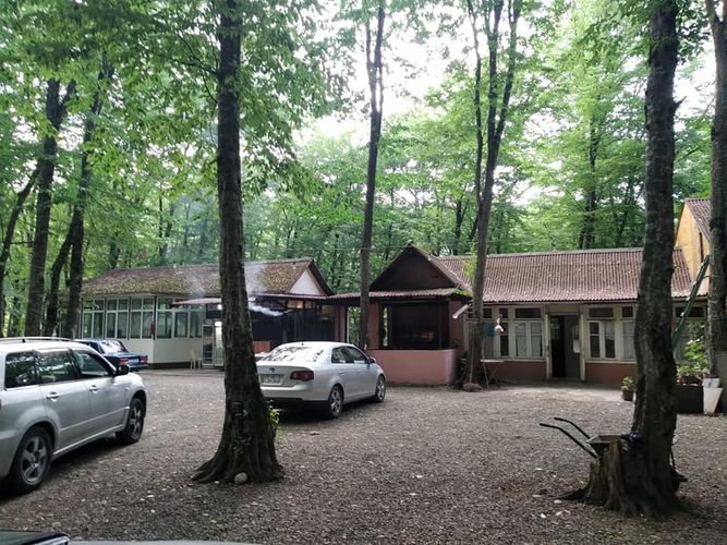 “Son zəng” şənliyi təşkil edənlər məsuliyyətə cəlb olunub