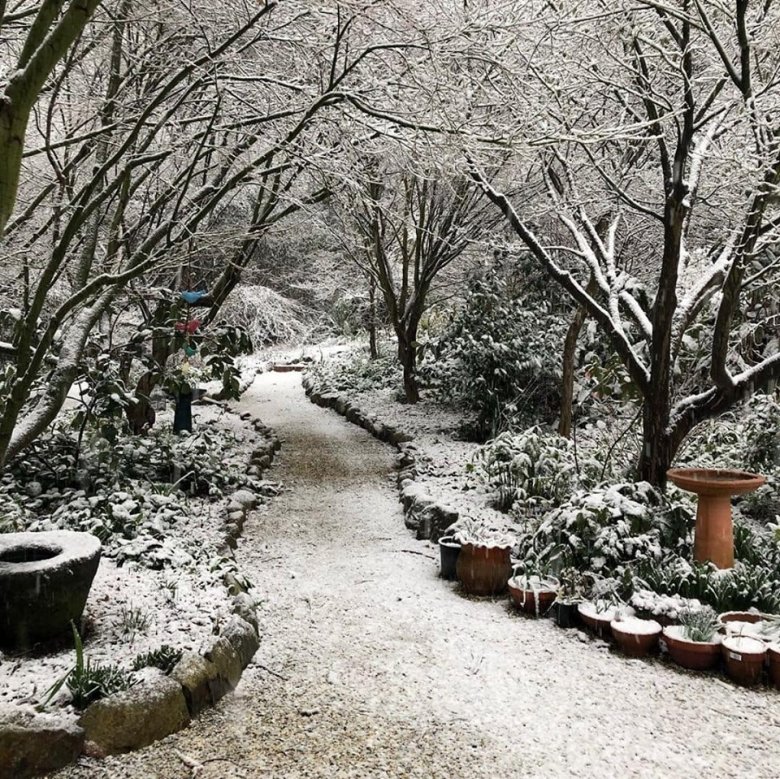 Avstraliyaya qar yağdı - Video+Fotolar Avstraliyaya qar yağdı - Video+Fotolar