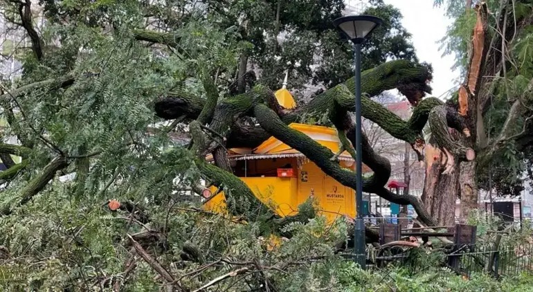 Qasırğa, külək və qar Avropada problemlər yaradıb